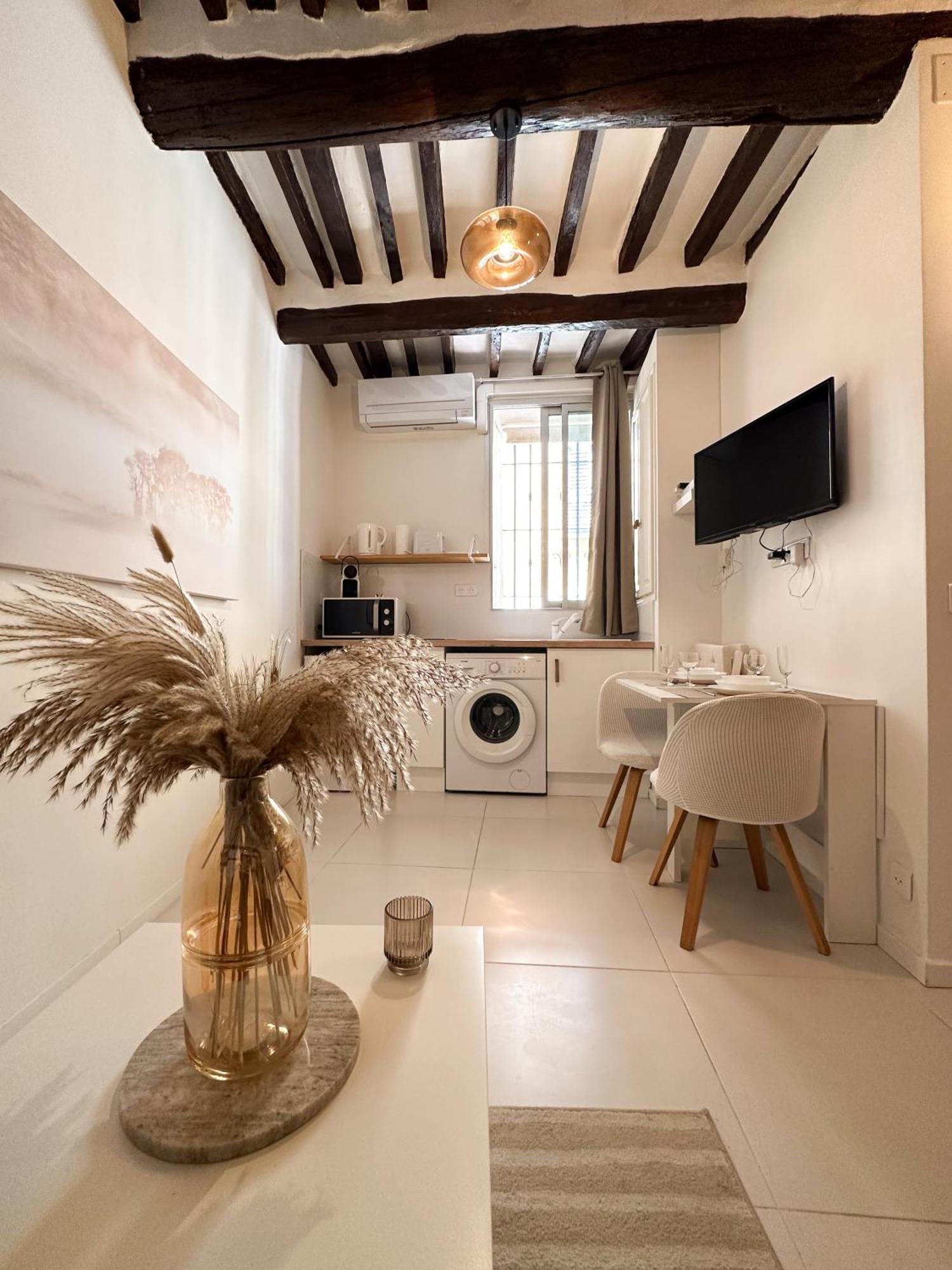 Le Balneo Jacuzzi Vieil Safranier Apartment *